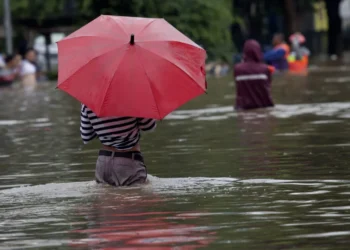 doença infecciosa, bactéria causadora;