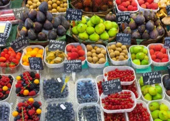 fruta congelada, fruta congelada natural, fruta congelada para consumo