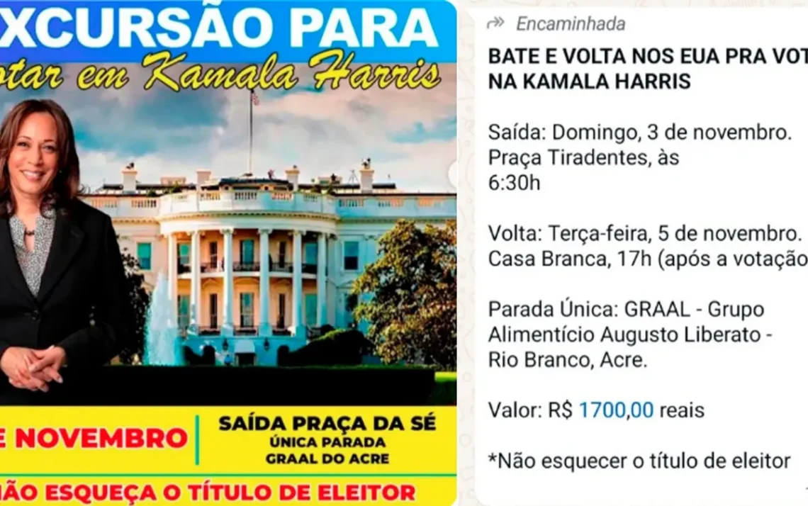 vice-presidente, democrata, chapa, do Partido, Democrata;