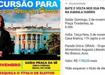 vice-presidente, democrata, chapa, do Partido, Democrata;