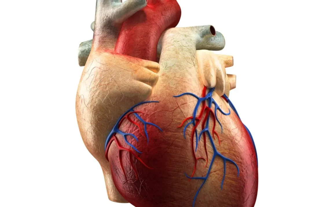 insuficiência cardiovascular.