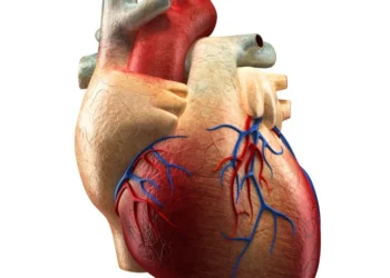 insuficiência cardiovascular.