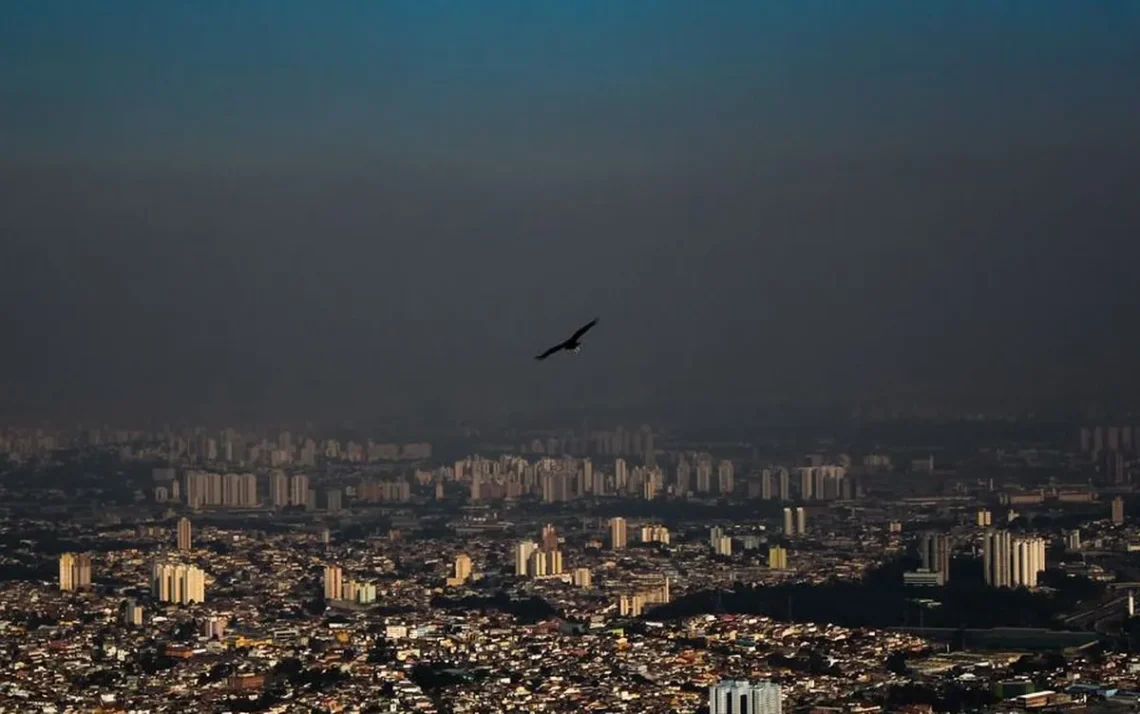 poluentes, contaminação, impureza;