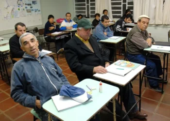 Iniciativa, para superação, do analfabetismo, e qualificação, da educação, de jovens, e adultos.