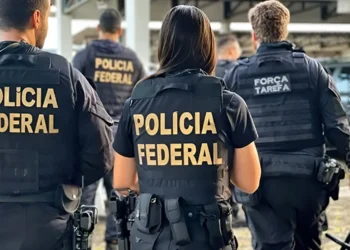 advogado, advogado de criminal;