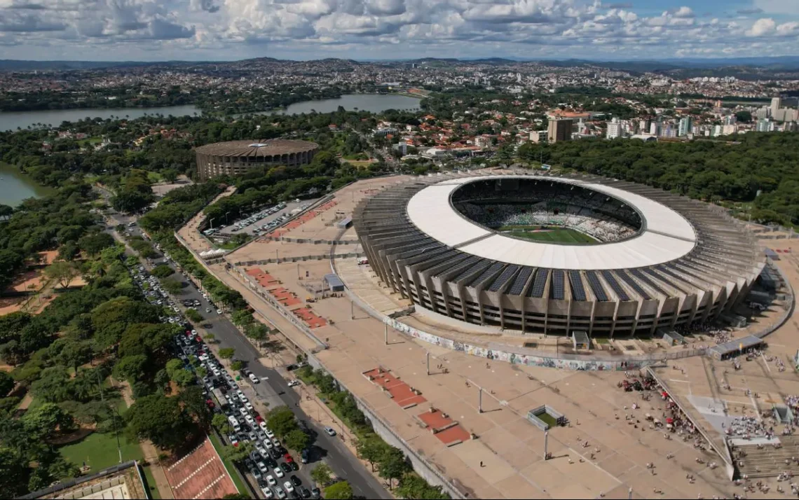 Galo, Tricolor;