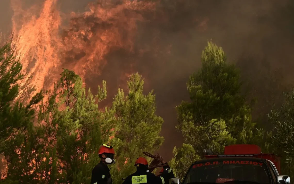 incêndio, queimada, fogueira selvagem, pira, incêndio florestal;