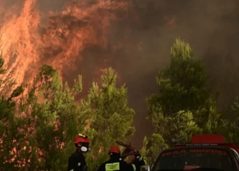 incêndio, queimada, fogueira selvagem, pira, incêndio florestal;