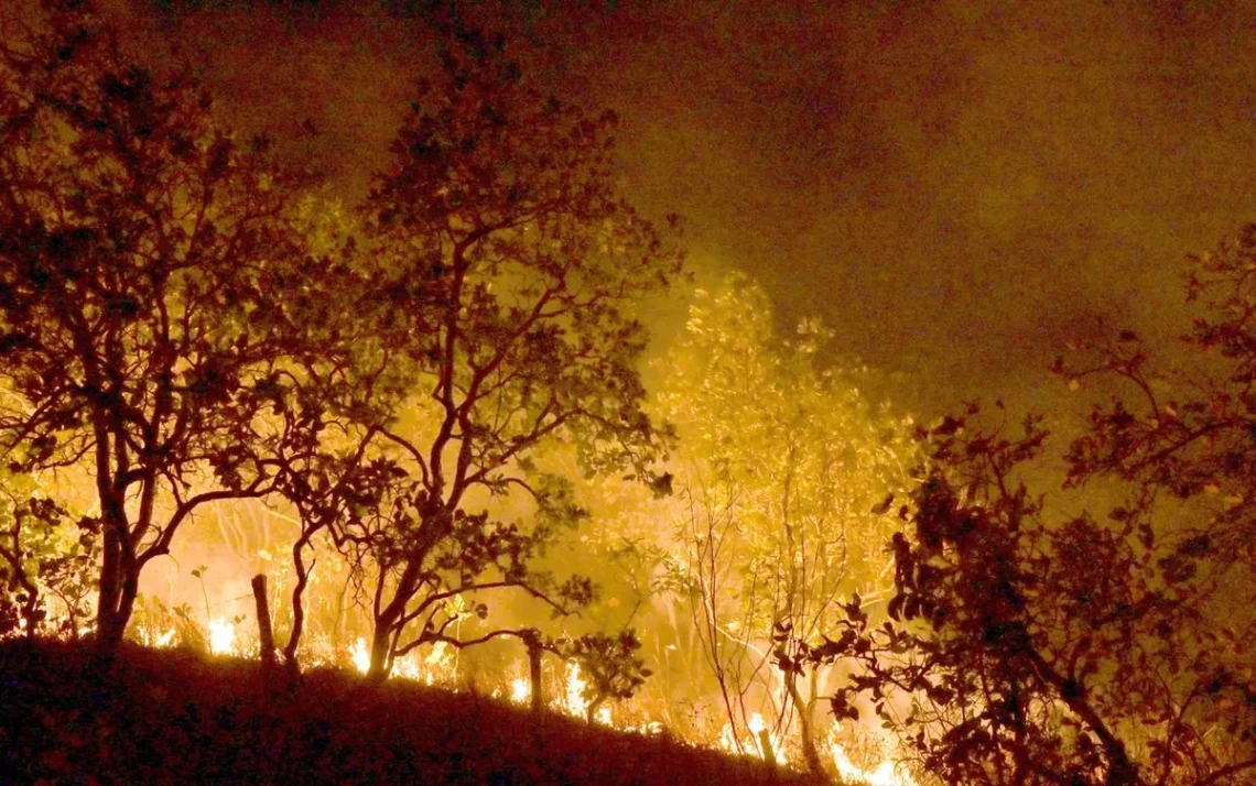 queimadas, focos, de incêndio;