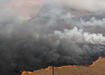 queimadas, incêndios, florestais, focos, ativos;