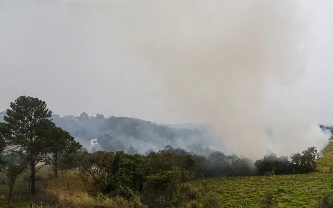 incêndios-criminais;