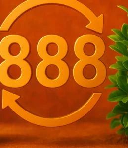 Significado de sonhar com 888: mensagens espirituais