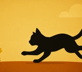 Piu-Piu e Frajola: A Caçada Clássica Que Você Jamais Irá Esquecer!