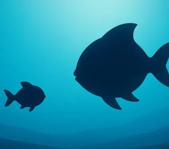 Procurando Dory: A Busca por Memória e Família Após Nemo