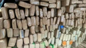 Brazil Court Convicts Trio in 1.8-Ton Paraguay Marijuana Case
