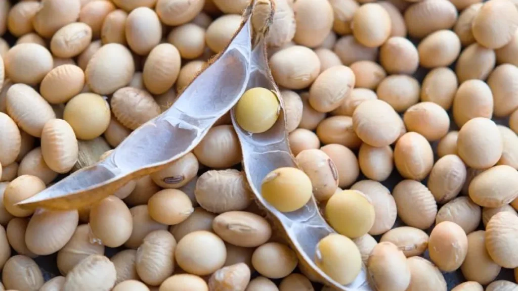 Brazil Soybean Prices Jump $3 in Year as Corn Stays Flat