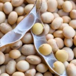 Brazil Soybean Prices Jump $3 in Year as Corn Stays Flat