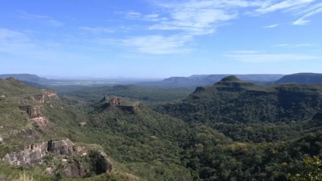 Brazil Deforestation Falls 65% in Pantanal, 11.5% in Cerrado