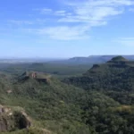 Brazil Deforestation Falls 65% in Pantanal, 11.5% in Cerrado