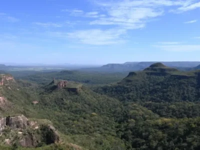 Brazil Deforestation Falls 65% in Pantanal, 11.5% in Cerrado