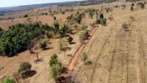 Brazil Inocência Moves Ahead With New Highway Ring Plan