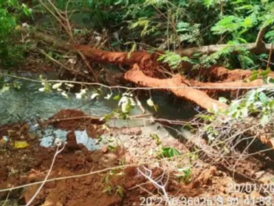 Brazil probes stench, fish kill in polluted Imbirussu stream