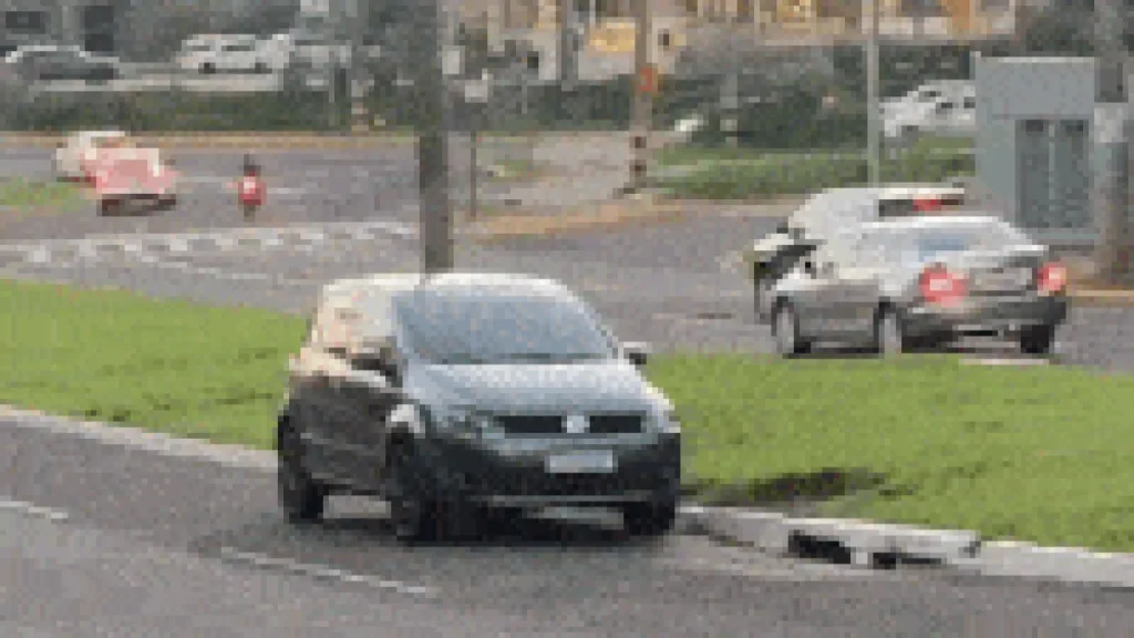 Brazil Driver Parks on Median Strip and Goes Viral
