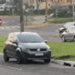 Brazil Driver Parks on Median Strip and Goes Viral